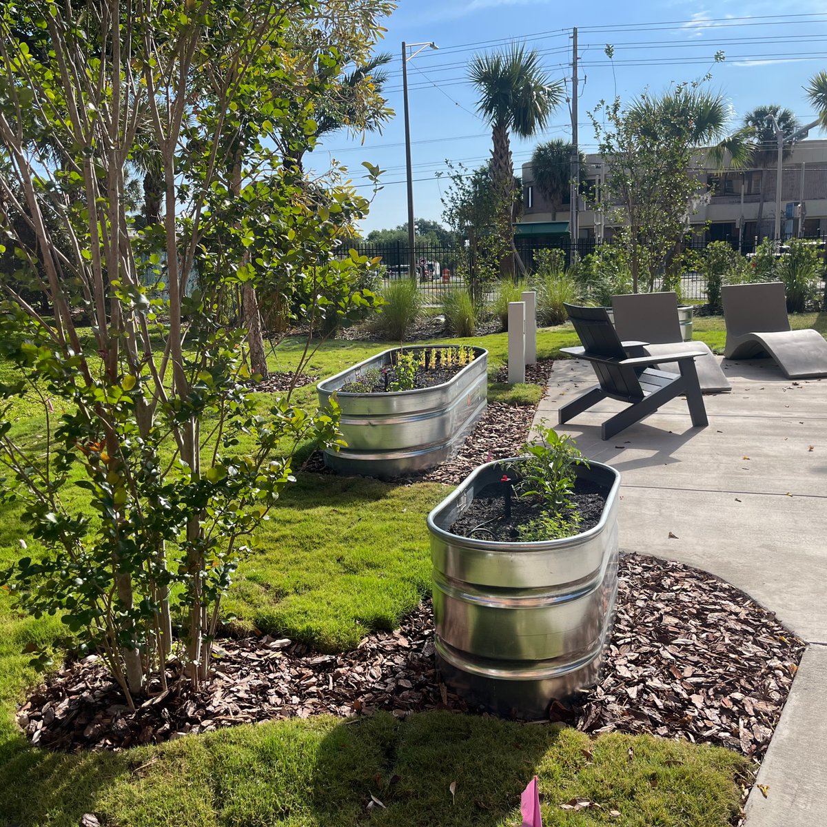 Lakeland Regional Health GME tweet media