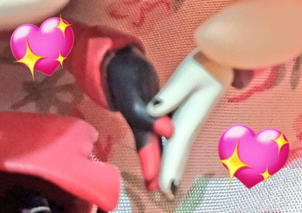 Awww!! 😭💘
BTW they can hold hands 🤭💕💕💕
#charlastor #radiobelle #youtooz