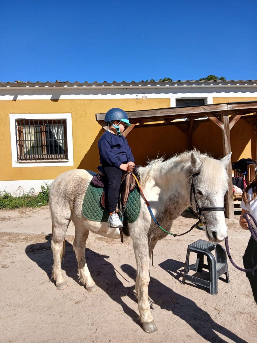 ColegioCambrils's tweet image. Lunes de hipoterapia #animales #caballo #educacionespecial 
#inclusion #sindromededown #down #updown #colegio #discapacidad #aprender