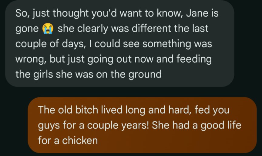Lol my mom giving me updates on her chickens 

Rip Jane