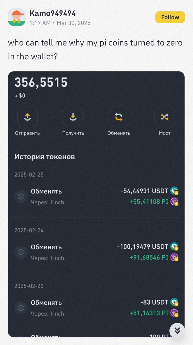 This dude ordered fake pi coin from binance, now the wallet shows zero, who is responsible #Binance #Picoin ...