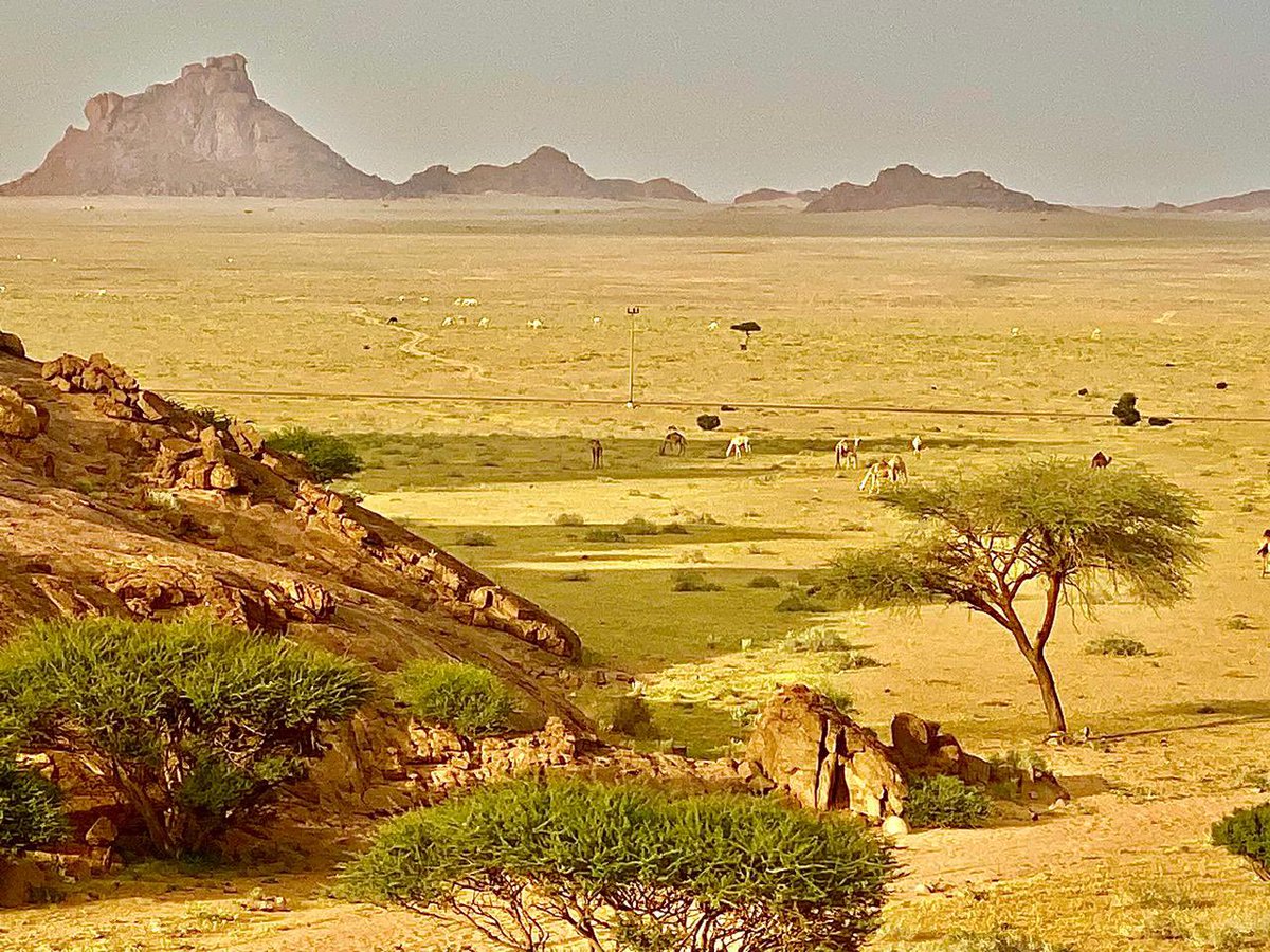 البلدانيين والجيولوجيين وهواة الرحلات، 

اذا عرفت اسم الجبل في الأفق في الصورة فأنت خبير من الدرجة الأولى! 

أما اذا عرفت اسم الجبل في الأفق والجبل الذي أخذت من أعلاه الصورة فأنت ذو موهبة وخبرة نادرة ودليلة لاتقدر بثمن. 

👌🏻