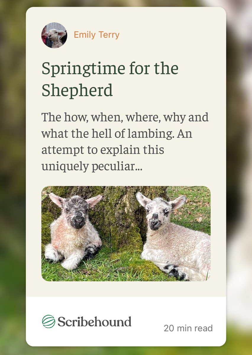 Had our first lambs born today, over a week early and didn’t survive sadly. I wrote this article for <a href="/scribehound_ctr/">Scribehound Countryside</a> about how bloody awful but rewarding lambing can be. Not for the squeamish! Hopefully the next ones will be a success.