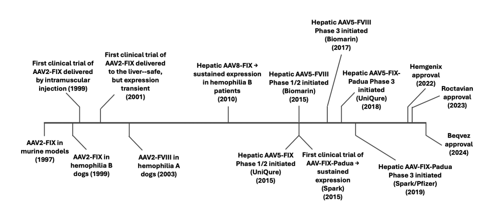Comprehensive review of gene therapy in #hemophilia accepted for publication by Molecular Therapy. The pre-proof is on line at tinyurl.com/3sb4nuex