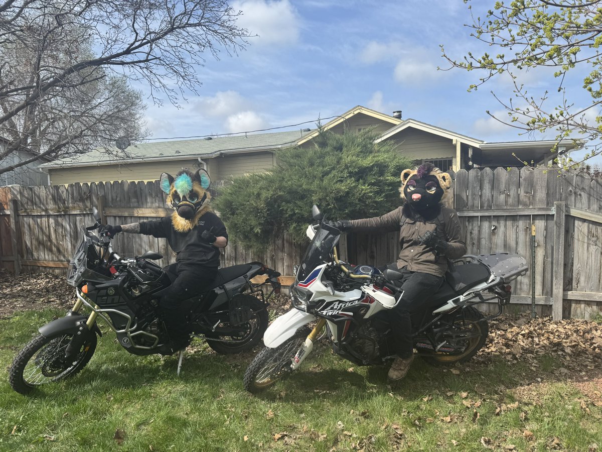 SaberYeem's tweet image. Hyena wolverine weekend activities 🥺