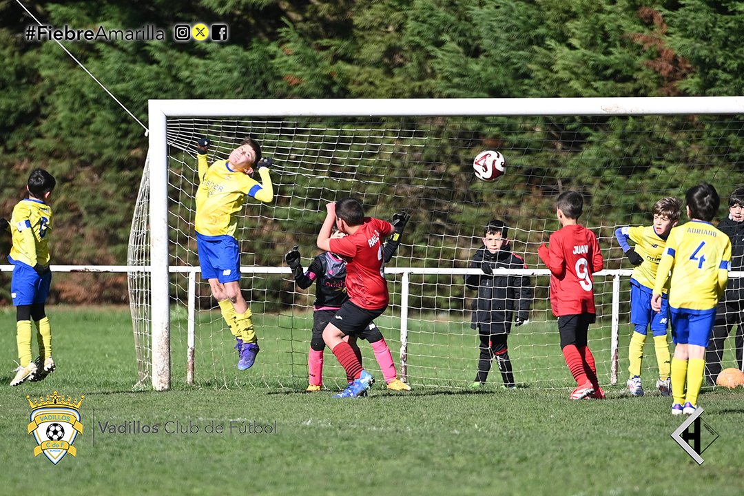 VadillosCF's tweet photo. #capiscolcf "B" 8-2 Benjamín "C" @aceitunasolibher
Gran esfuerzo de los peques de Ángel y Diego, es un placer verles jugar 💛💙
Enhorabuena al Capis por la victoria.🤝
❌️ Jornada 24
#FiebreAmarilla #FamiliaVadillista
📷 @javichicato https://t.co/cPCnnK0fLe