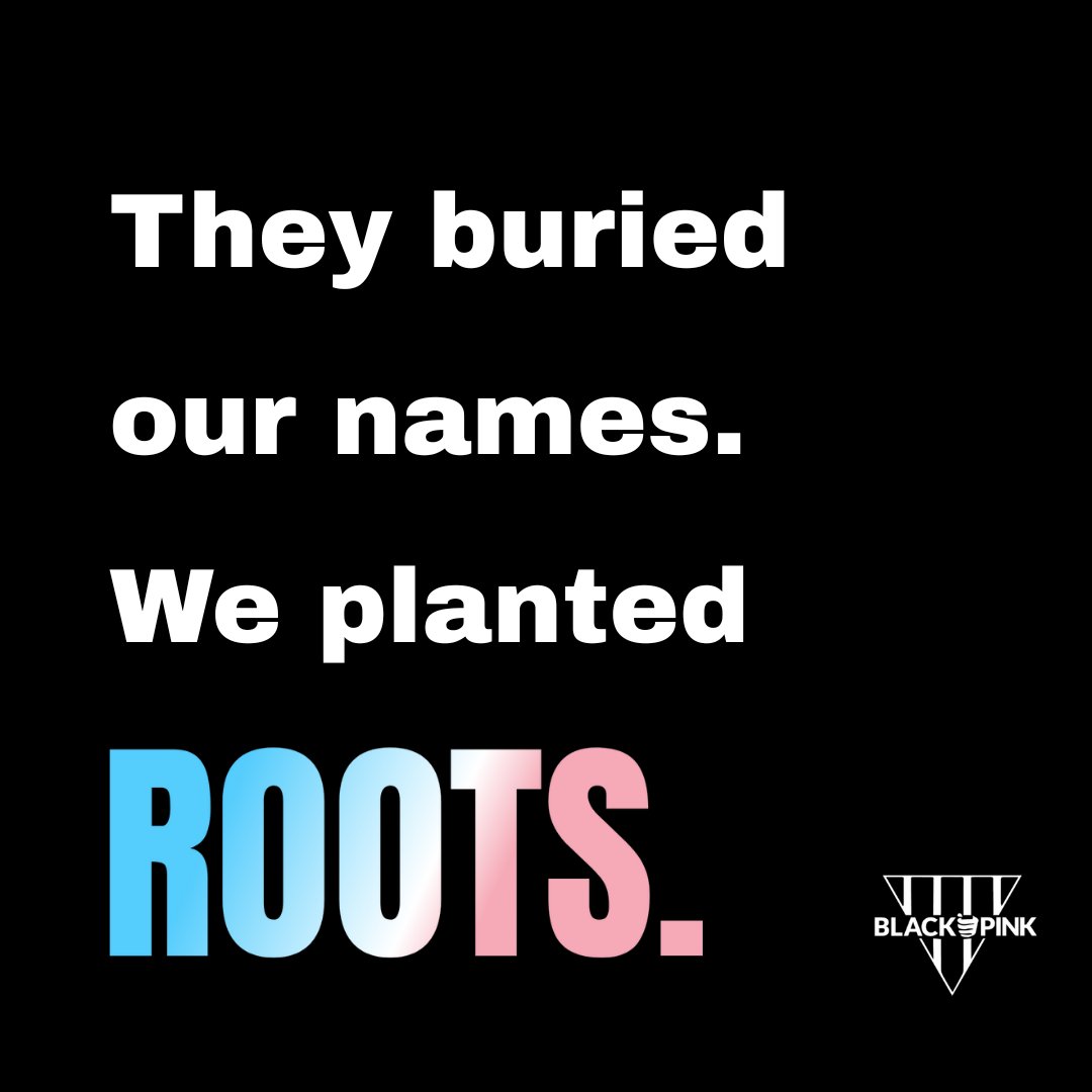 They tried to silence us. Erase us. Bury us.
We are not just still here; we are the evidence.
Our names are louder. Our roots are deeper. Our lives are proof.
#TransDayOfVisibility #BlackAndPink #WeAreTheEvidence