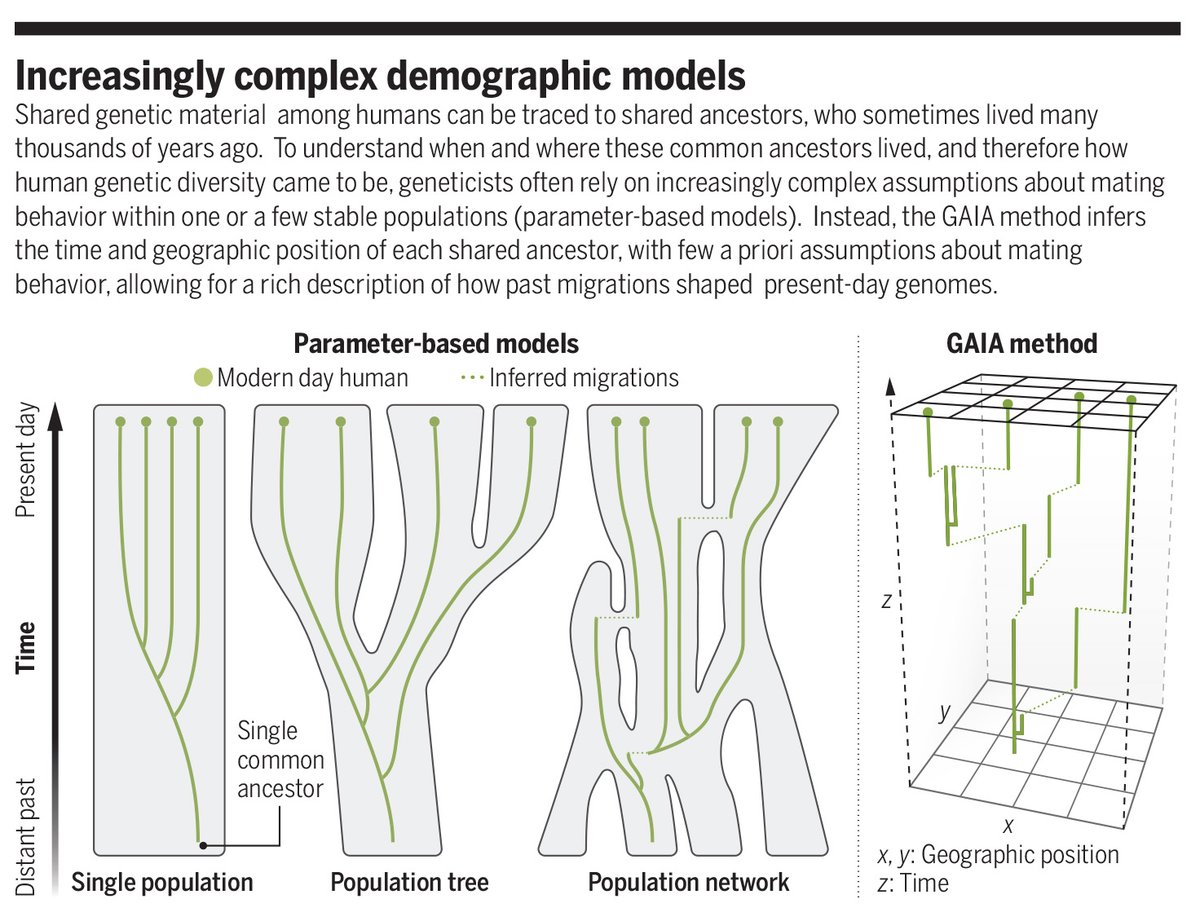 In a new Science study, researchers introduce GAIA, a statistical approach that seeks to learn the geographic position of every genetic ancestor of individuals included in a genome dataset. 

Learn more ⬇️ 
📄: scim.ag/4l79zLb
#SciencePerspective: scim.ag/41Owy6f