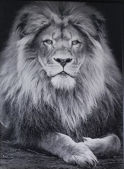 Kenneth_Scarbor's tweet photo. "Confidence is your best inspiration."

Belief in yourself is the spark that ignites creativity. When you trust your instincts, you unlock new ideas and push beyond limits. Confidence fuels bold decisions, and boldness leads to breakthroughs.

#BeYou #Entrepreneur 
#Motivation https://t.co/URwrA6FUof