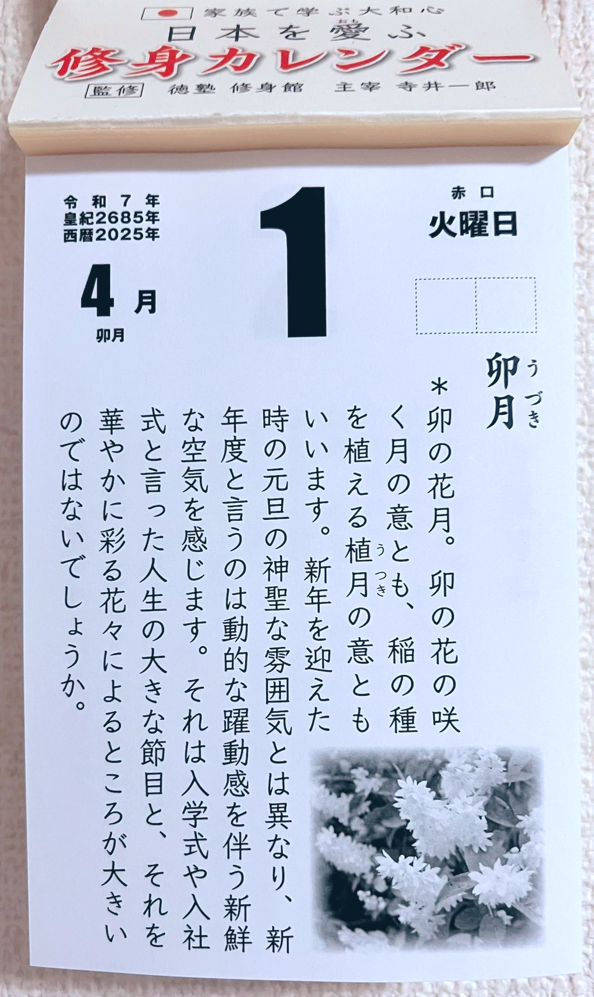 卯月 - Search / X