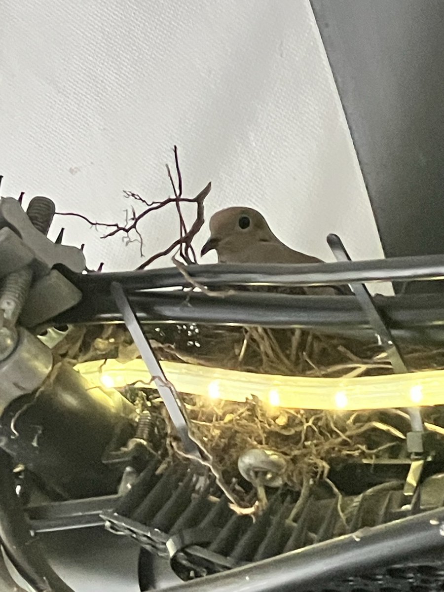 Nate Hurst tweet media