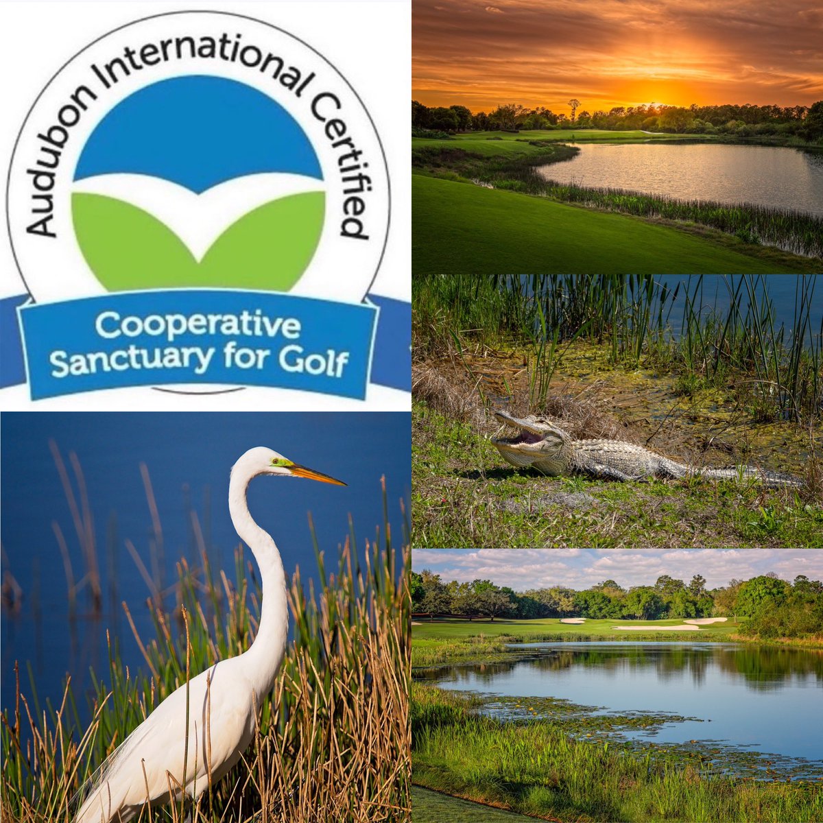 Our team at The Ritz-Carlton Members Club completed their re-certification as a “Certified Audubon Cooperative Sanctuary” golf course. This program endorsed by @auduboninternational provides guidance to help preserve and enhance wildlife habitat and protect natural resources.