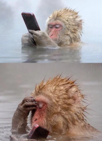when you see ETH at $1800 in 2025 😭

$BERA $ARC $TUT $SPX $ANKR $KET #FARTCOIN $HYPE $PENGU $RENDER $SUI $TAO $IP $TRUMP $VINE $HIPPO $KOMA $PLUME $HYPE $PEPE $SOL $ADA #zerebro $WHY $UFD $AIXBT #Broccoli #AI16Z $MANEKI $CWIF $ELON $LINK $TAO