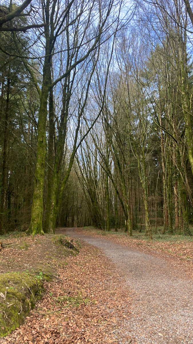 The ARC Project tweet media