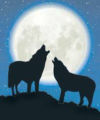 ضيق لاكن نكتب الهم بمزوح
حتا وان غدر فينا الزمان ابتسمنا🌴