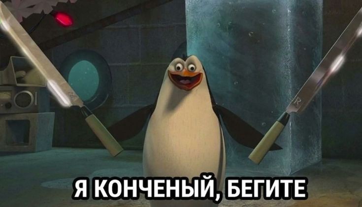 r_svat's tweet image. Да, я