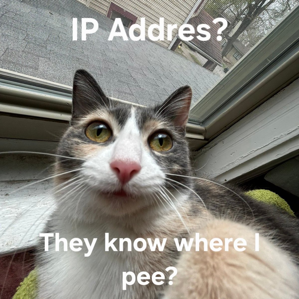 vx-underground tweet media