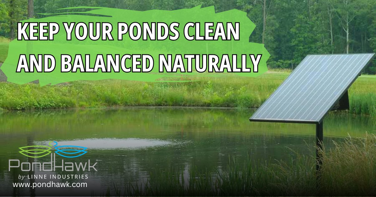 SolarPondHawk's tweet image. 𝗟𝗲𝘁 𝗻𝗮𝘁𝘂𝗿𝗲 𝘁𝗮𝗸𝗲 𝘁𝗵𝗲 𝗹𝗲𝗮𝗱! #StormwaterSolutions #pondaerators #greenkeeping #greenkeeper #golfmanagement #ngcoa #gcsaa #hoamanagement #golfcoursesuperintendent #stormwater #stormwatermanagement  social.pondhawk.com/WNwL