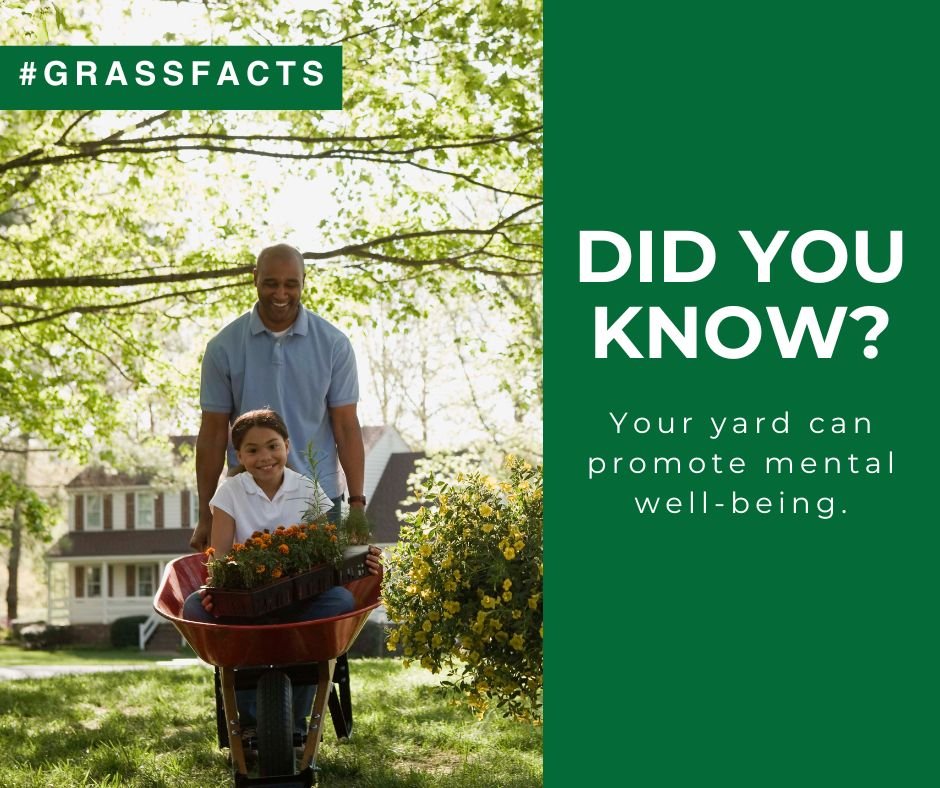 DYK? Your yard is a stress reliever! Spending time in green spaces has been shown to lower stress, boost Vit D, and even help with anxiety and depression. Activities like gardening, playing outside, or outdoor workouts benefit your physical health too! #LawnCareMonth #GrassFacts