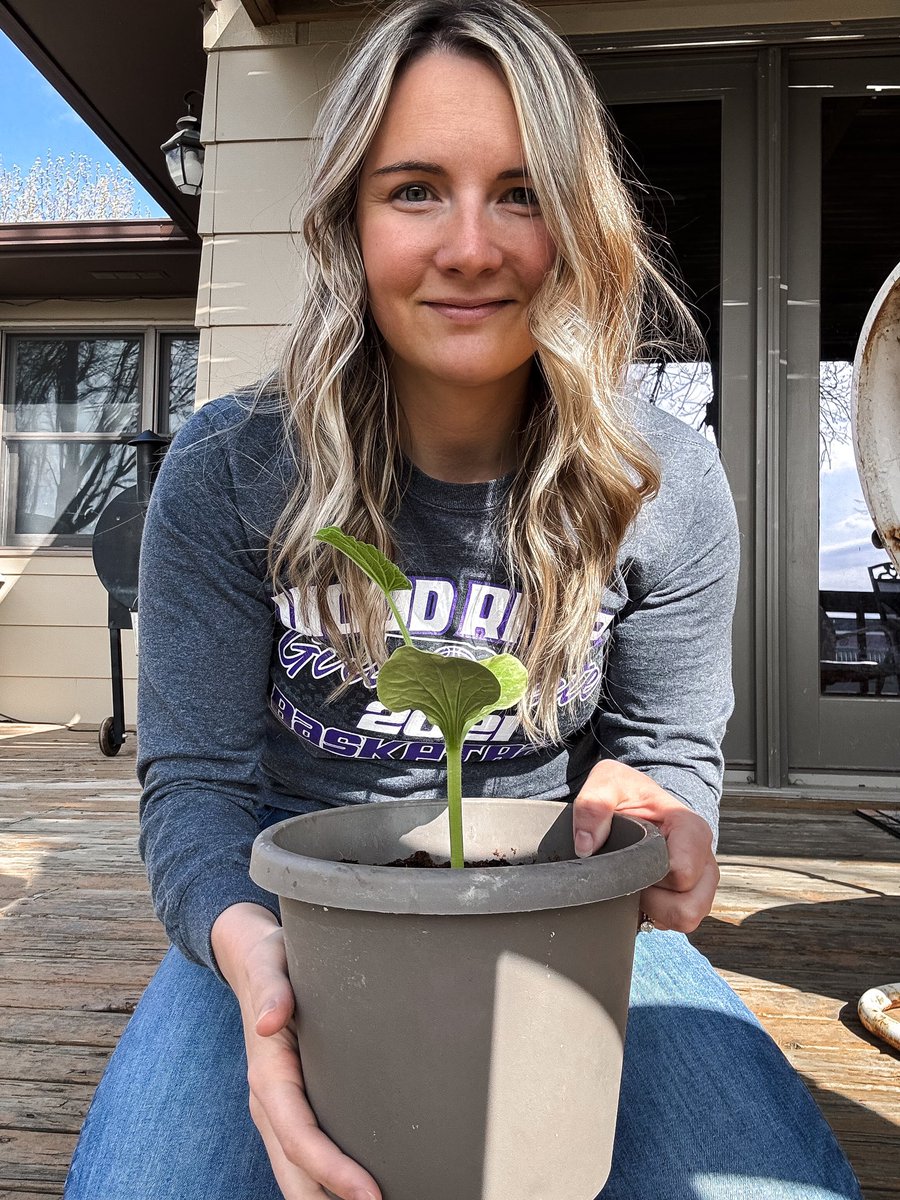 Many of you follow me for agronomy or cattle content from Nebraska. 

This year you’re gonna get more. 

Follow me on my journey to grow a big pumpkin. (If I fail miserably you’ll know from the lack of posts)