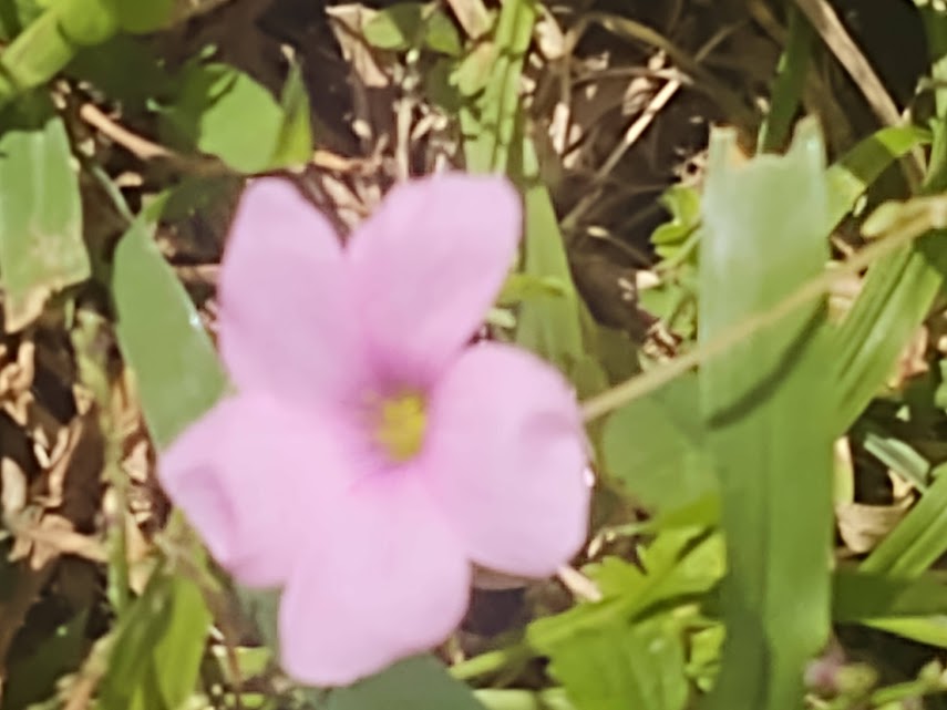 LorenaPavelek's tweet photo. #DESPIDIENDOMESINTERNACIONALDELAMUJER2025 #SAYINGINTERNATIONALWOMENsMONTH2025GOODBYE #SABADO8DEMARZO2025 #SATURDAY8thMARCH2025  👧👩‍🦰💃💅💄💋✨💖🌹🌻👗👙👒👑💪🙏 https://t.co/ACDSTqwN2d
