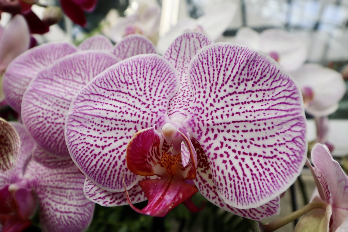 Stephanie Griffith tweet media