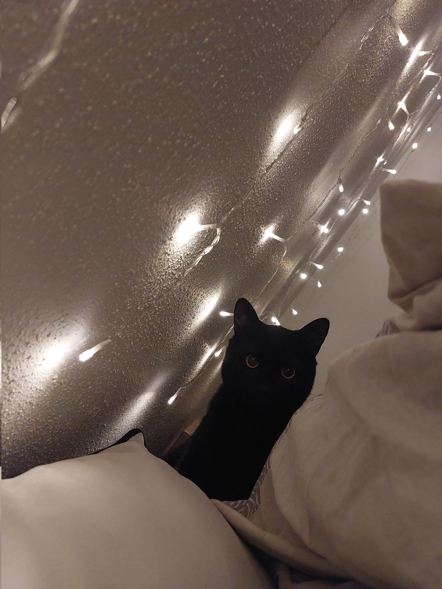 Lou 𓆏 tweet media