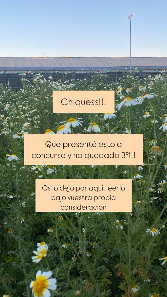 Irene Celapela tweet media