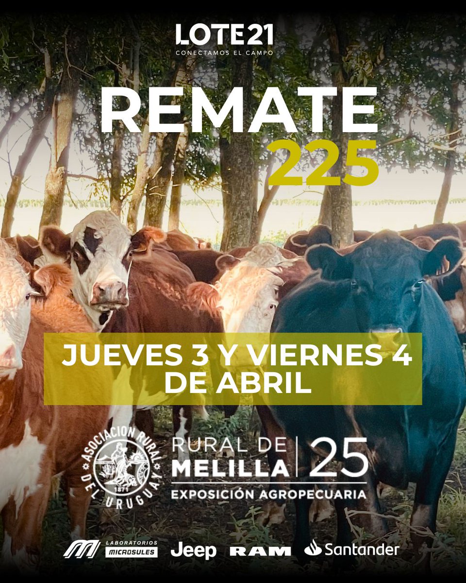Lote21 Remata en Rural de Melilla 2025