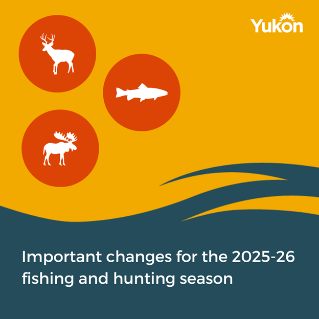 yukongov's tweet photo. The Government of Yukon is rolling out key changes for the 2025–26 hunting and fishing season to enhance wildlife management, boost conservation and offer new opportunities. 

Read more: https://t.co/y8G0WI8ZgE https://t.co/E5hN7dXQGp