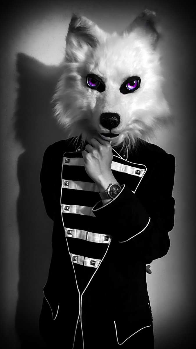 Alice Kane Wolf tweet media