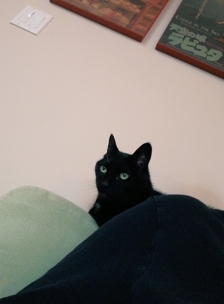 Looking over my shoulder 🖤