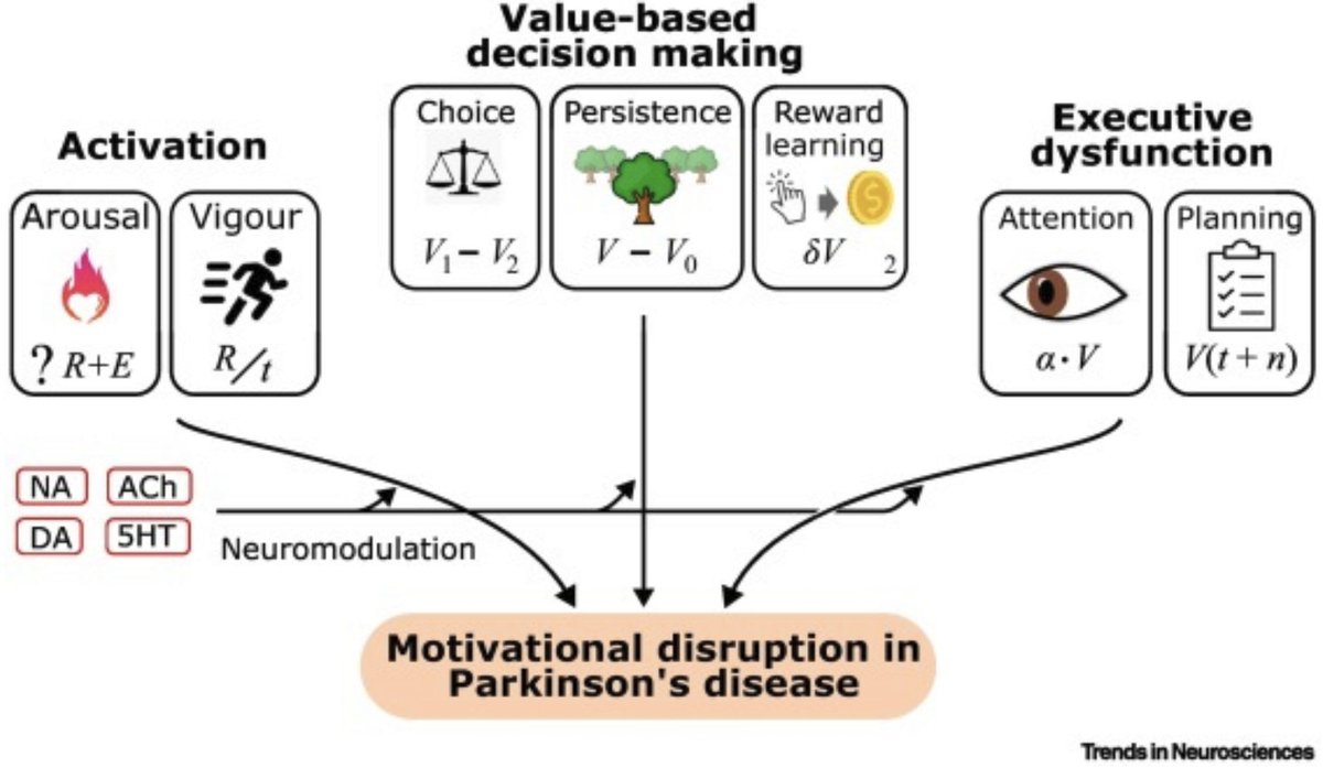 Sanjay Manohar (@braininthemind) on Twitter photo Patients with many neurological disorders lose their motivation: the zest and verve that drives us to achieve. Here's our new framework for thinking about the many mechanisms contributing in Parknson's disease: authors.elsevier.com/a/1kq1wbotq7nNC <a href="/NDCNOxford/">Nuffield Department of Clinical Neurosciences</a> <a href="/OxNeuro/">Oxford Neuroscience</a> <a href="/OxExpPsy/">Oxford ExpPsychology</a> @OxfordWIN Patients with many neurological disorders lose their motivation: the zest and verve that drives us to achieve. Here's our new framework for thinking about the many mechanisms contributing in Parknson's disease: authors.elsevier.com/a/1kq1wbotq7nNC <a href="/NDCNOxford/">Nuffield Department of Clinical Neurosciences</a> <a href="/OxNeuro/">Oxford Neuroscience</a> <a href="/OxExpPsy/">Oxford ExpPsychology</a> @OxfordWIN