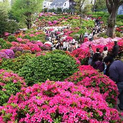 RNAGroupJapan's tweet image. The RNA Group Newsletter for April 2025 - mailchi.mp/hrcjapan.com/n…