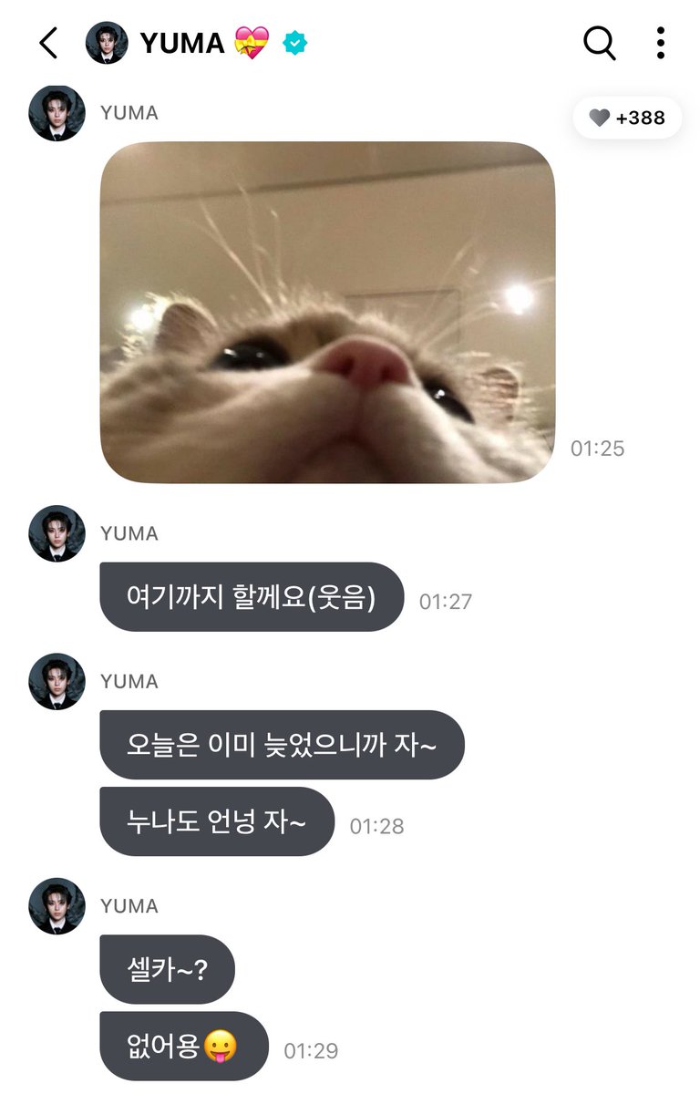 아 윰달파 윰냥파