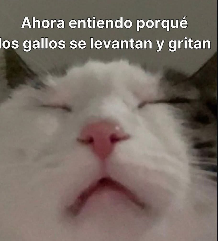 En Júpiter (@en_jupiter_) on Twitter photo 