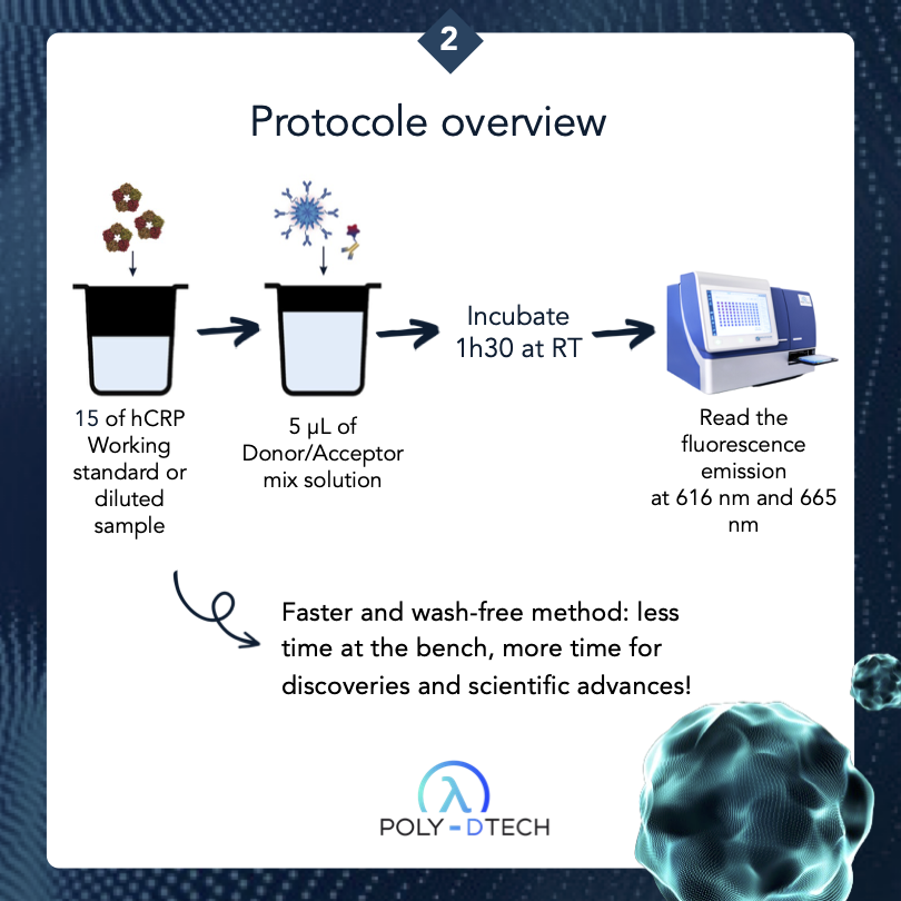 Poly-Dtech tweet media