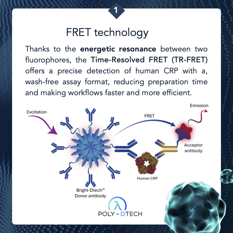 Poly-Dtech tweet media