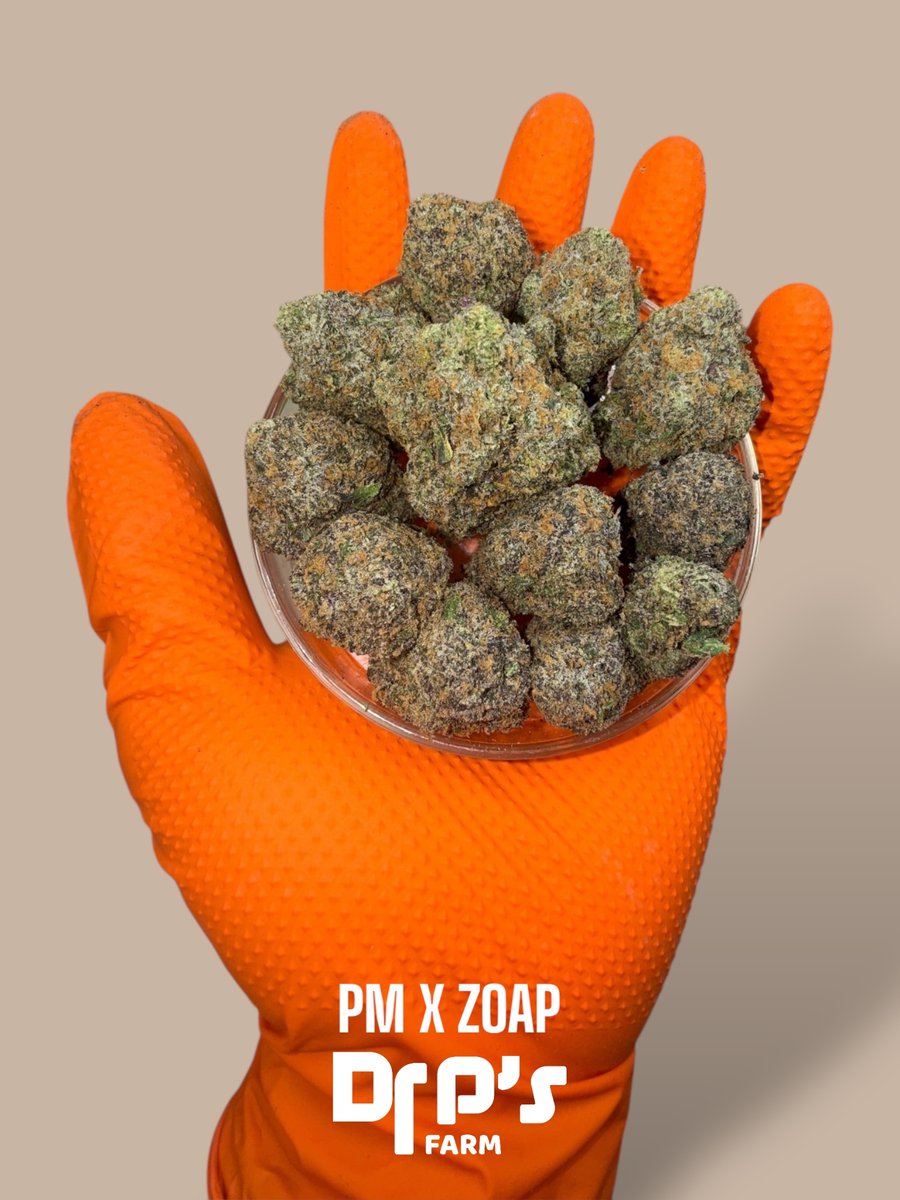 ReturnOfTheDr's tweet image. PM x ZOAP 🖊️🫧

UNBRANDED INDOOR

UNBELIEVABLE BATCH🤤

#Zoap #PermanentMarker
#WhatTheDrOrdered 👨🏽‍⚕️