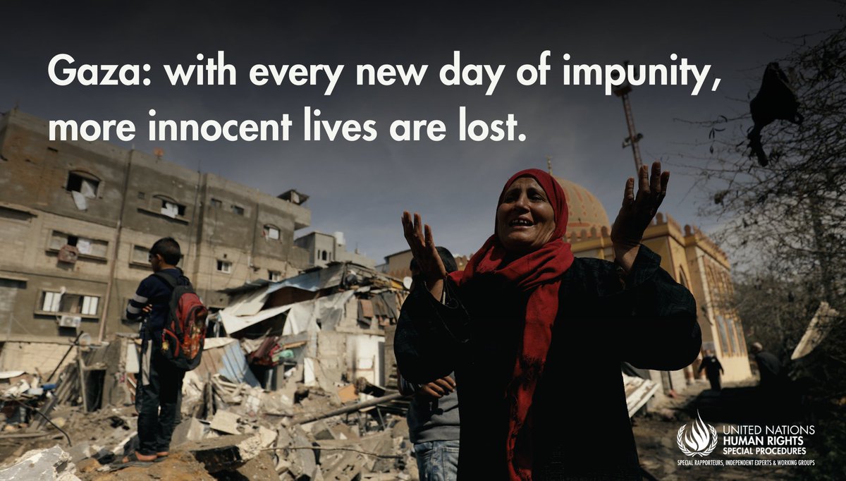 #Israel’s actions in #Gaza &amp; the rest of the occupied Palestinian territory are leading to a massacre of Palestinians - UN experts warn, urging States to take urgent measures to end Israel's impunity including by suspending transfer of arms &amp; fuel.

ohchr.org/en/press-relea…