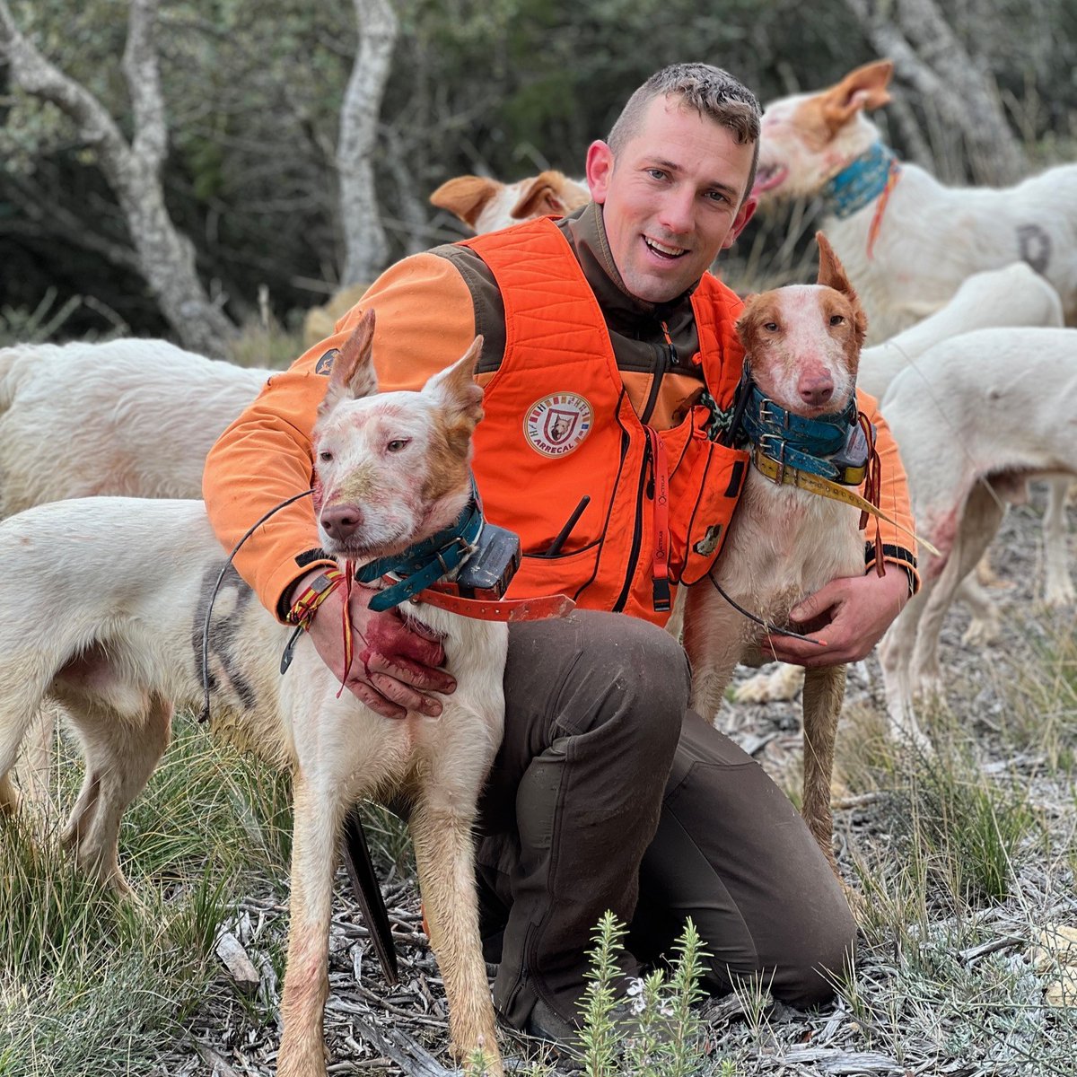 #FamiliaArrecal 👩🏼‍🤝‍👨🏻 Amelia y Mario, de Rehala El Rubio, practican y defienden la caza en el campo y en las redes sociales desde San Vicente de la Sonsierra, en La Rioja.