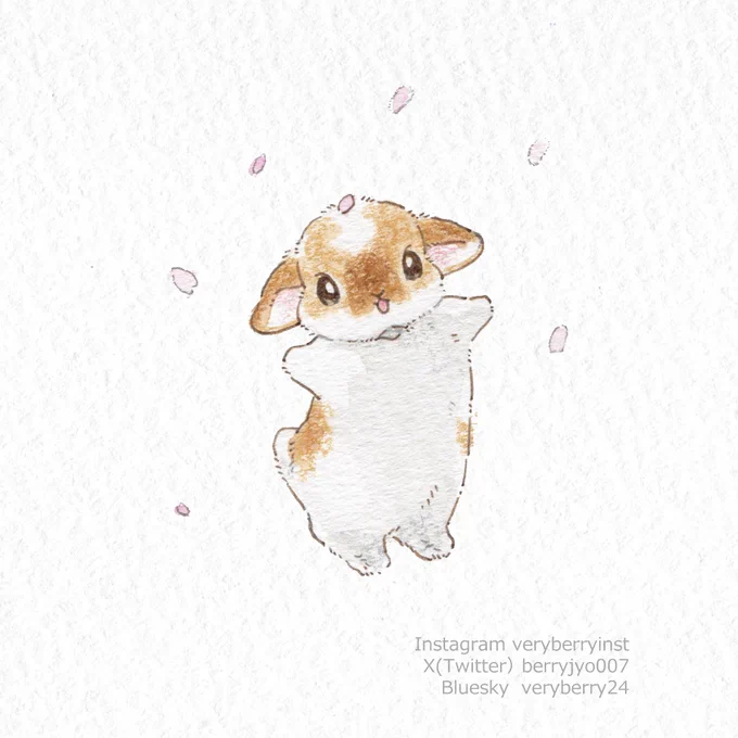ねぇねぇまた来年もいっしょに来ようね 