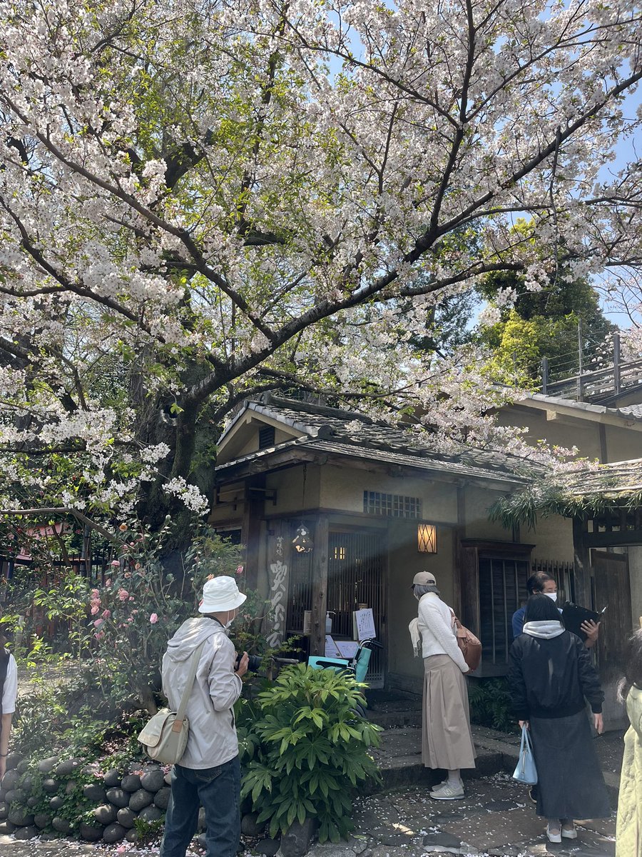 leeayako's tweet photo. いとこのミヤちゃんと
久しぶりの上野。
桜を見て韻松亭でランチを食べた後は上野動物園へ。
ハシビロコウにようやく会えました。 https://t.co/TIfJnfK48W