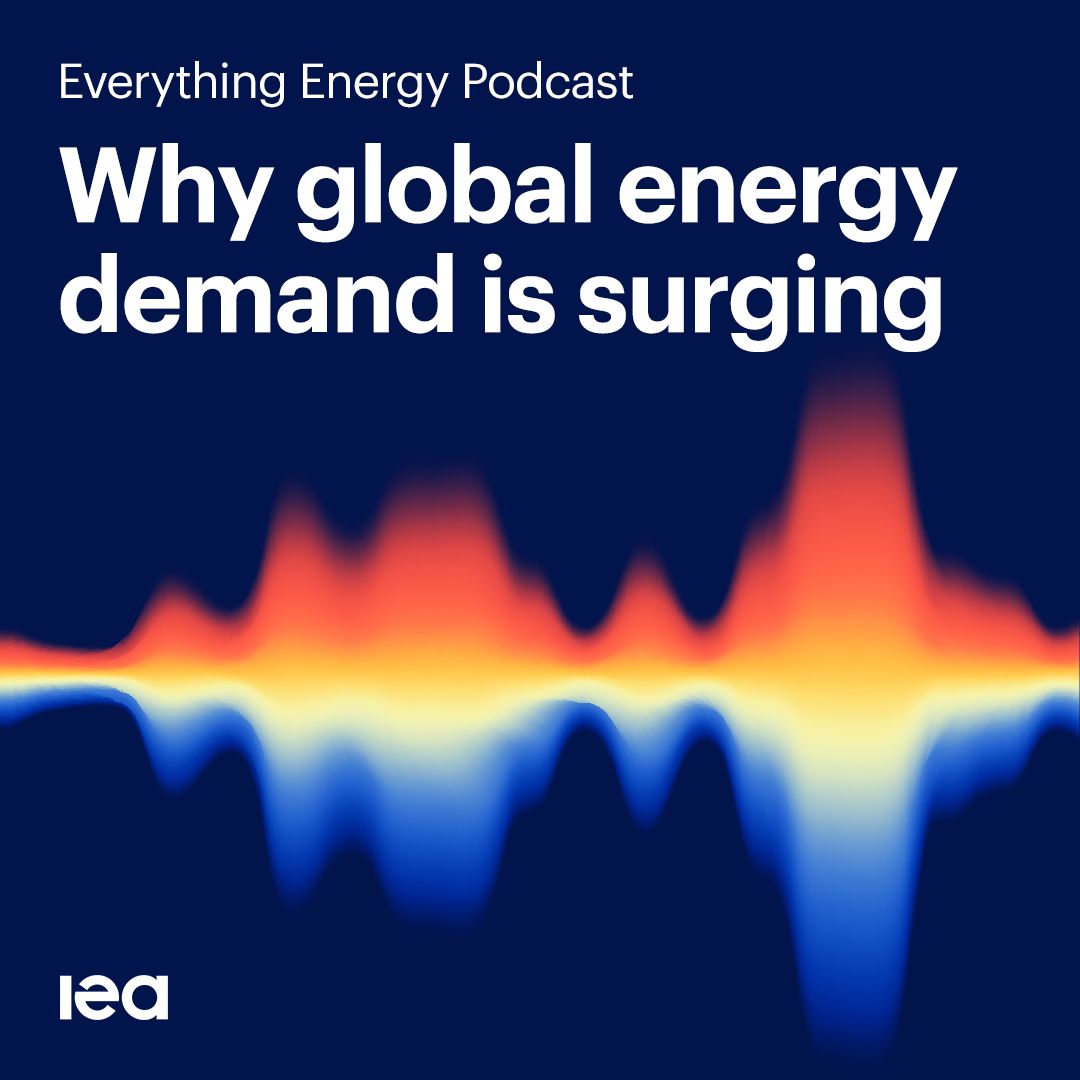 International Energy Agency tweet media