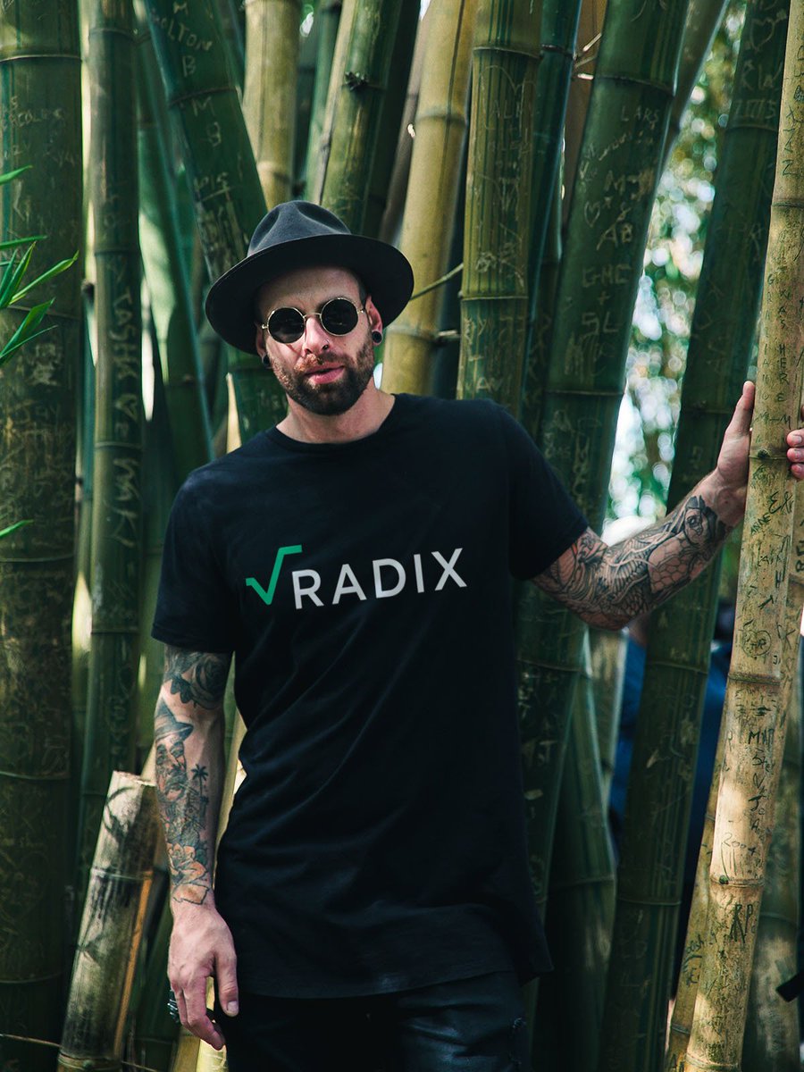 DeXian — Lend and Borrow on Radix tweet media