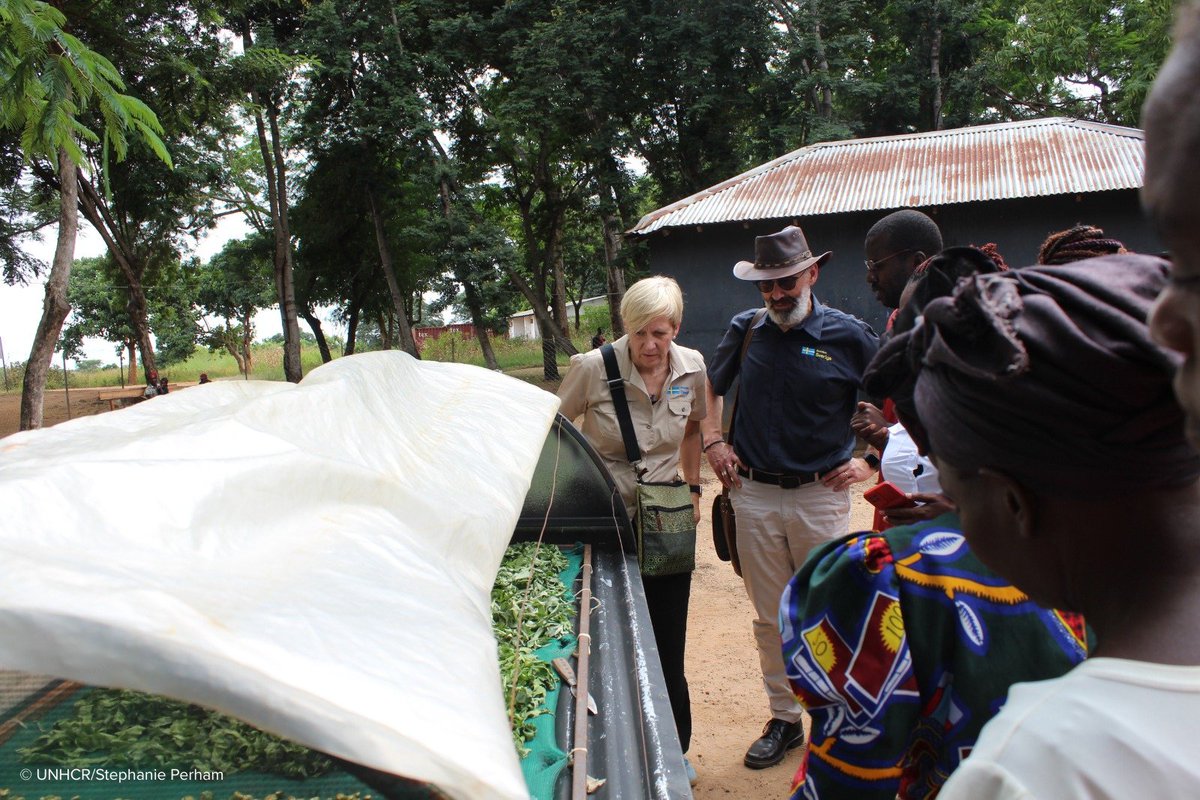 UNHCR ZAMBIA (@unhcrzambia) on Twitter photo πΈπͺπ«±π»βπ«²πΎπΏπ² On April 2, Swedish Ambassador Johan Hallenborg visited Mayukwayukwa refugee settlement. He met with refugee and host community farmers, learned about how they are working together to recover from the drought and listened to their hopes for a brighter future.
#WithRefugees πΈπͺπ«±π»βπ«²πΎπΏπ² On April 2, Swedish Ambassador Johan Hallenborg visited Mayukwayukwa refugee settlement. He met with refugee and host community farmers, learned about how they are working together to recover from the drought and listened to their hopes for a brighter future.
#WithRefugees