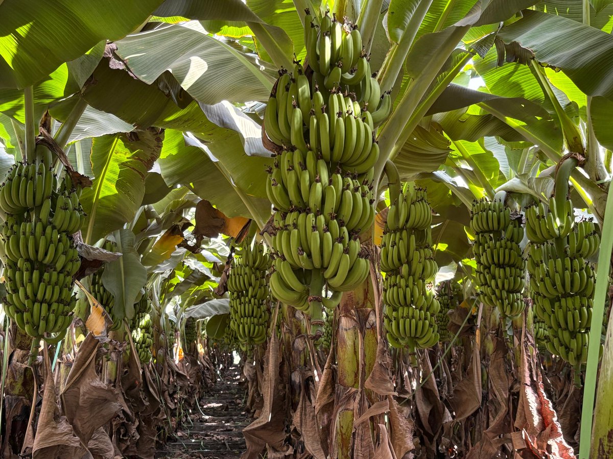 Sandesh Patel tweet media