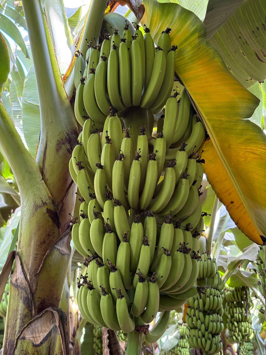 Sandesh Patel tweet media