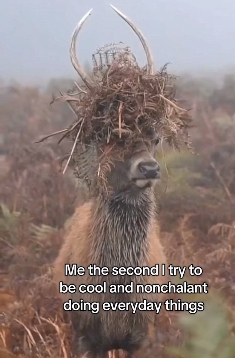 🍒 (@goldenberryx) on Twitter photo 