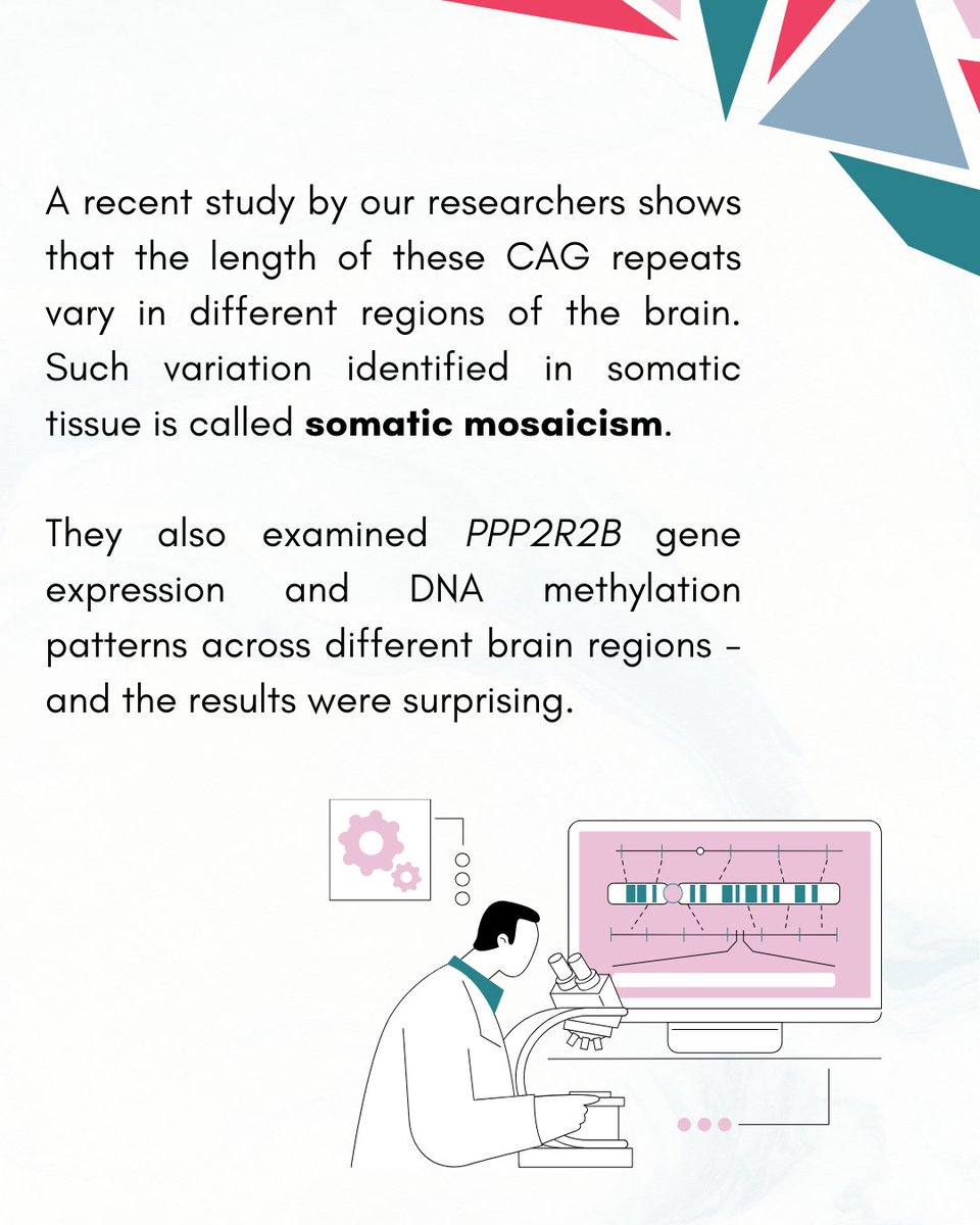 Our research reveals somatic mosaicism (CAG repeat instability) across #brain regions in SCA12, a common #ataxia in India with late-onset and diverse symptoms. (1/2)